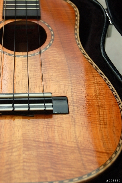 kamaka ukulele ! 烏克麗麗開箱 !