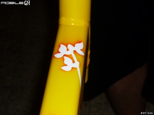葉魚之大黃蜂變裝開箱文