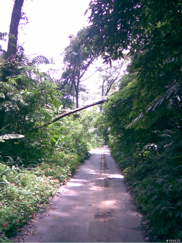 四角林林場(勢林路->東崎路)