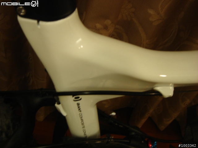 {分享}GIANT TRANCE ADVANCED 自組車