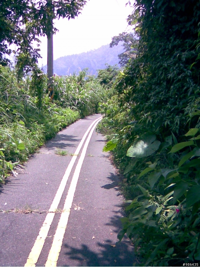 四角林林場(勢林路->東崎路)