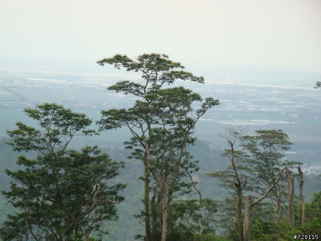 岡山→中寮山→旗山吃早餐(三山連騎)