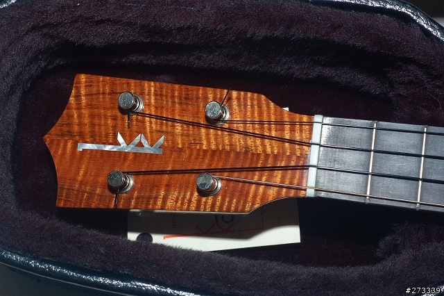kamaka ukulele ! 烏克麗麗開箱 !