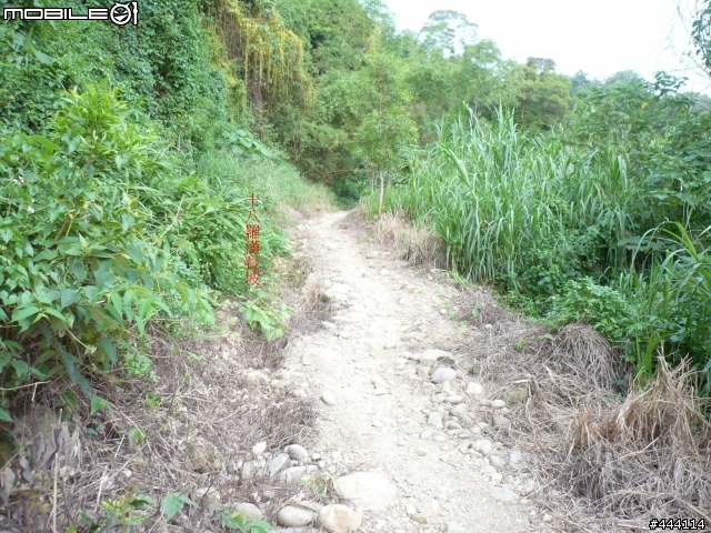 登山車之天堂路 彰化 社頭 ==> 南投 橫山 南投坑 產業道路