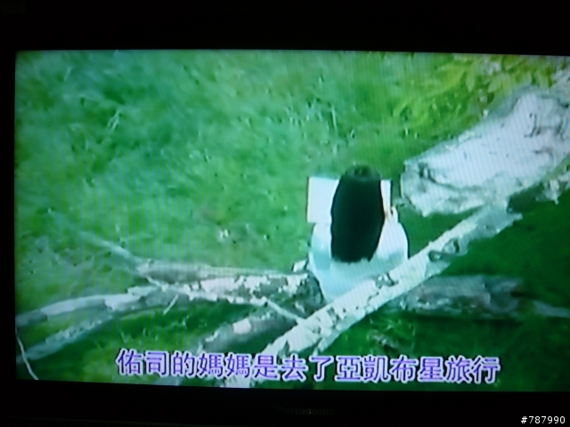 SYNCO DVD-369H(RMVB)DVD播放機開箱啦~~