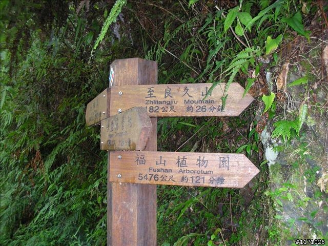 烏來三越嶺完結篇----哈盆越嶺