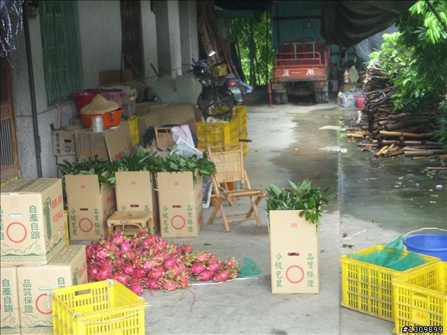 嘉義竹崎鄉:滿竹,鹿紫自行車道 (鄉間小路照片多)