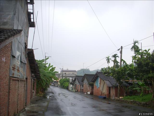 嘉義竹崎鄉:滿竹,鹿紫自行車道 (鄉間小路照片多)