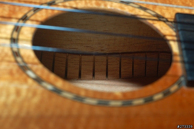 kamaka ukulele ! 烏克麗麗開箱 !