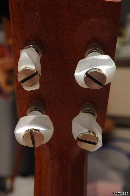 kamaka ukulele ! 烏克麗麗開箱 !