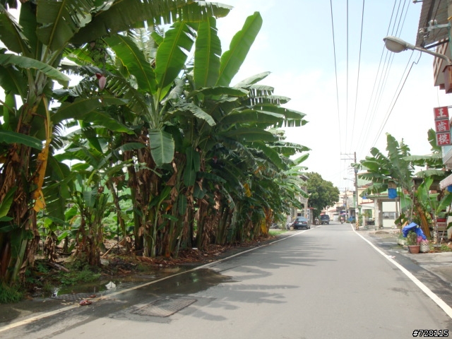 岡山→中寮山→旗山吃早餐(三山連騎)