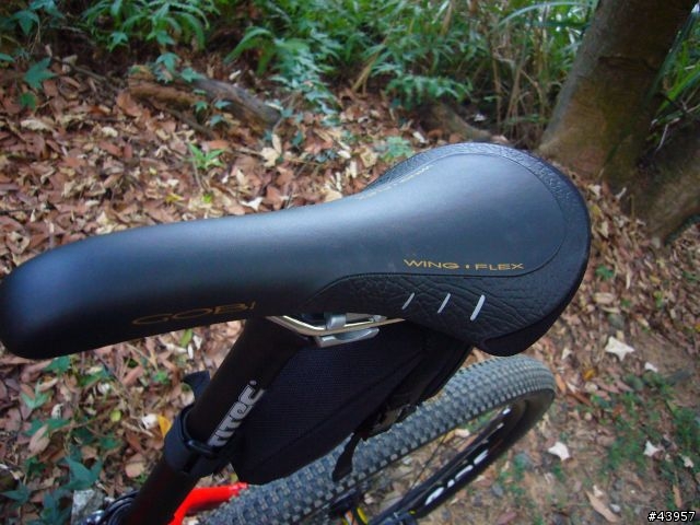【分享】紅瓦厝號- 09 Giant XTC SE 自組車