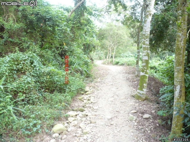 登山車之天堂路 彰化 社頭 ==> 南投 橫山 南投坑 產業道路