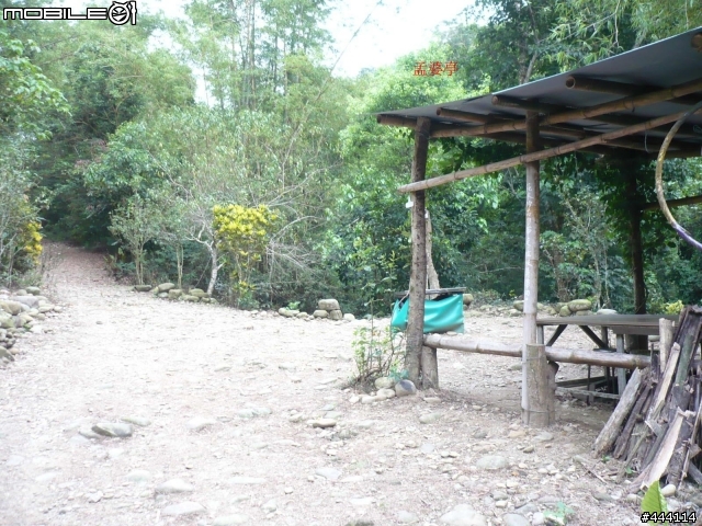 登山車之天堂路 彰化 社頭 ==> 南投 橫山 南投坑 產業道路
