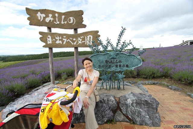 嬰兒拖車的無限可能—北海道の夏日薰風