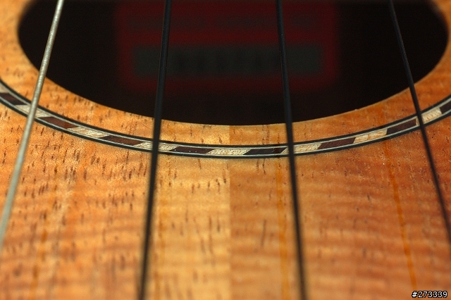 kamaka ukulele ! 烏克麗麗開箱 !