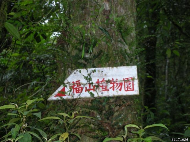 烏來三越嶺完結篇----哈盆越嶺