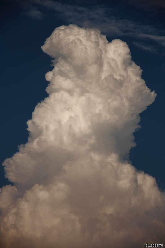 方便+快速,旅遊鏡新選擇 x Sigma 18-250mm F3.5-6.3 DC OS HSM