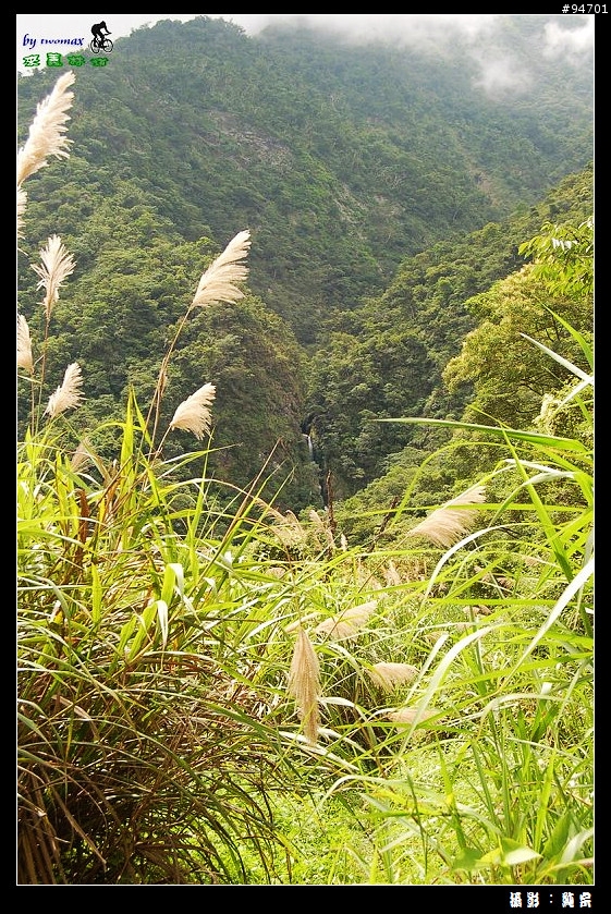 來義林道