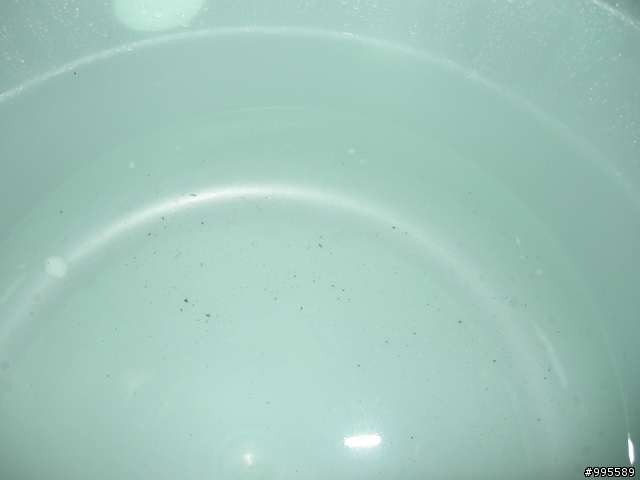 清潔你的牙齒~輯穩SPA沖牙機入門款分享