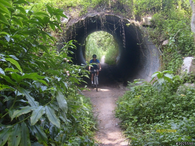 原始森林越野初體驗(2/8/2009 再體驗)