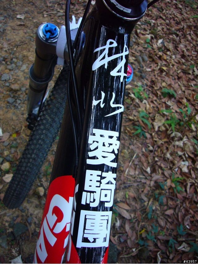 【分享】紅瓦厝號- 09 Giant XTC SE 自組車