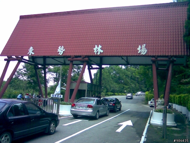 四角林林場(勢林路->東崎路)