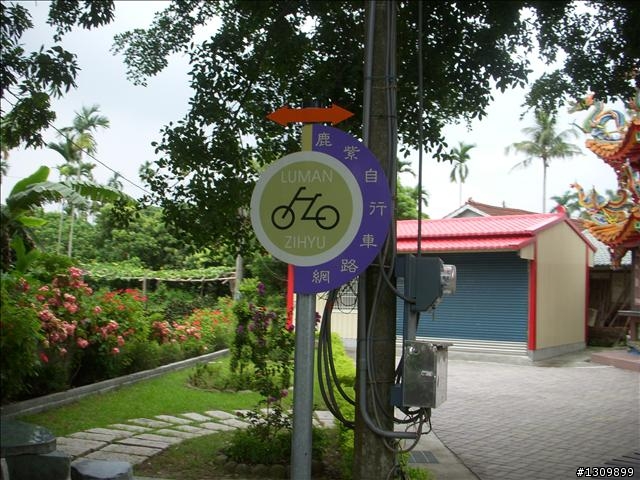 嘉義竹崎鄉:滿竹,鹿紫自行車道 (鄉間小路照片多)