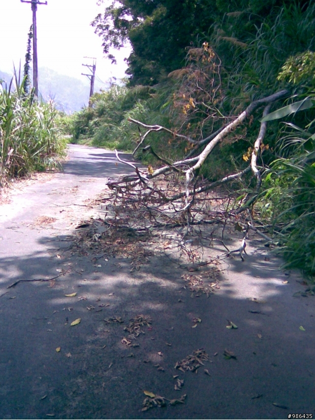 四角林林場(勢林路->東崎路)