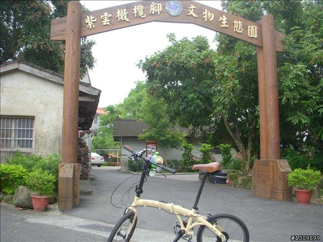 嘉義竹崎鄉:滿竹,鹿紫自行車道 (鄉間小路照片多)