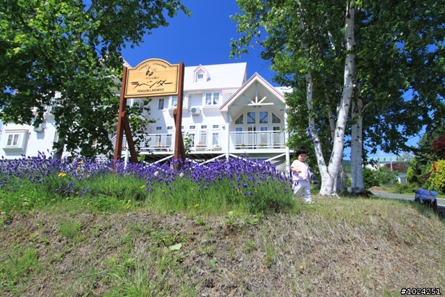嬰兒拖車的無限可能—北海道の夏日薰風