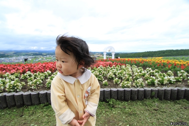 嬰兒拖車的無限可能—北海道の夏日薰風