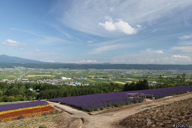 嬰兒拖車的無限可能—北海道の夏日薰風