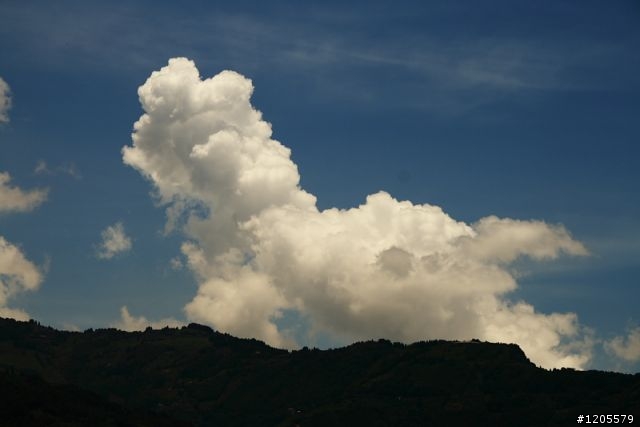 方便+快速,旅遊鏡新選擇 x Sigma 18-250mm F3.5-6.3 DC OS HSM