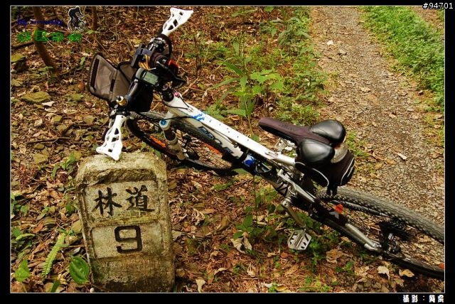 來義林道