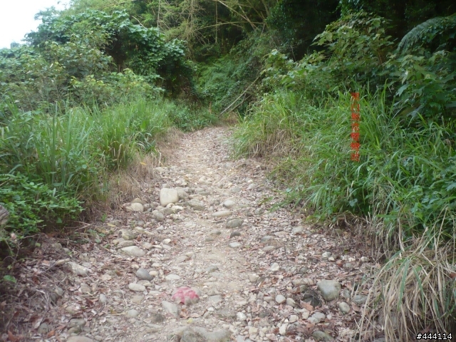 登山車之天堂路 彰化 社頭 ==> 南投 橫山 南投坑 產業道路