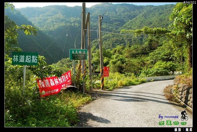 來義林道
