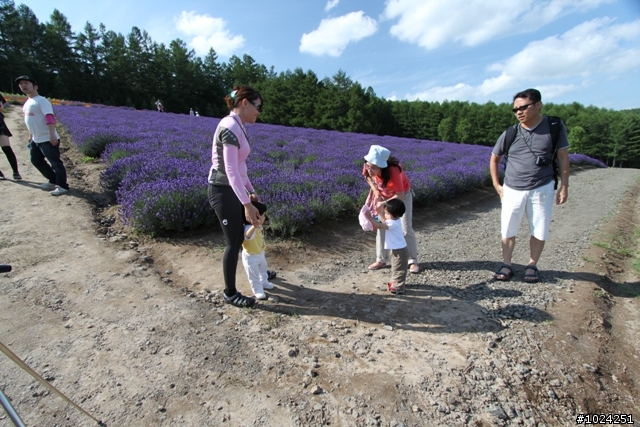 嬰兒拖車的無限可能—北海道の夏日薰風