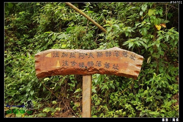 來義林道