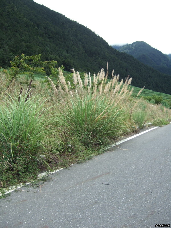 武陵農場遊記...探路失敗