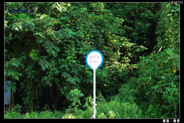 來義林道