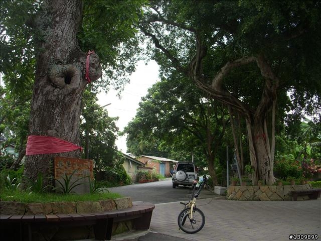 嘉義竹崎鄉:滿竹,鹿紫自行車道 (鄉間小路照片多)