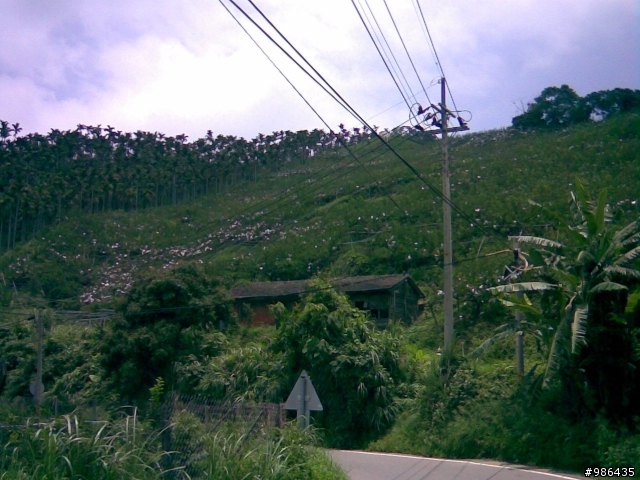 四角林林場(勢林路->東崎路)