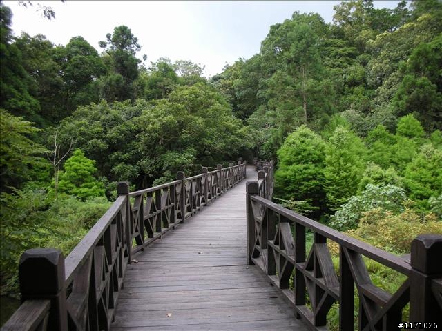 烏來三越嶺完結篇----哈盆越嶺