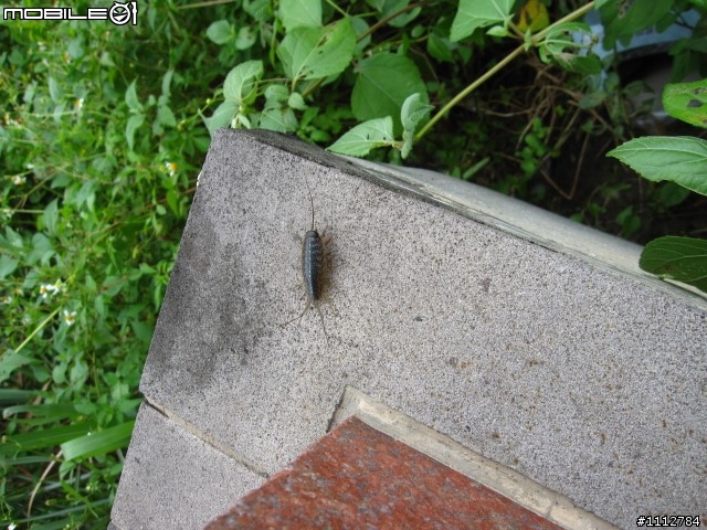 2009四極點環島--0712~0718七天六夜(0725新增紀錄片)