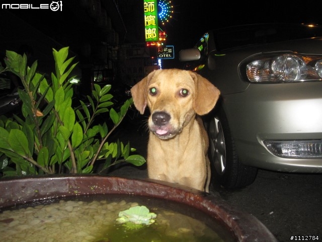 2009四極點環島--0712~0718七天六夜(0725新增紀錄片)