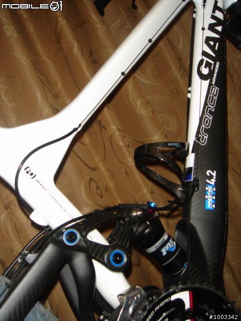 {分享}GIANT TRANCE ADVANCED 自組車