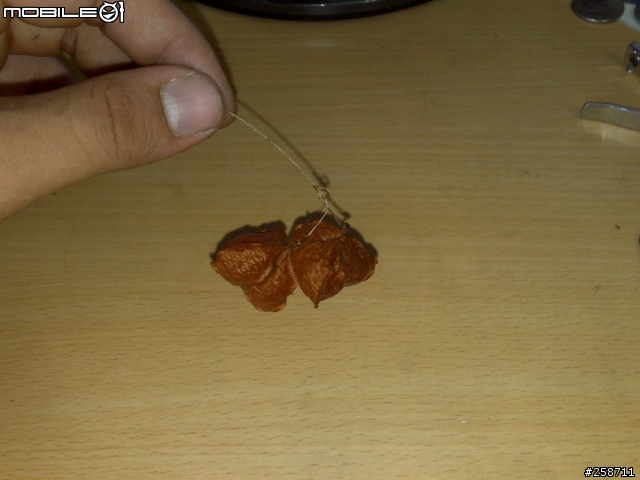 親手做給女王的愛心豆豆~