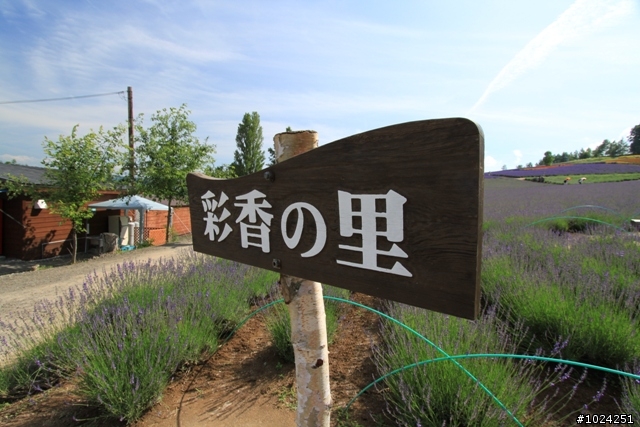 嬰兒拖車的無限可能—北海道の夏日薰風