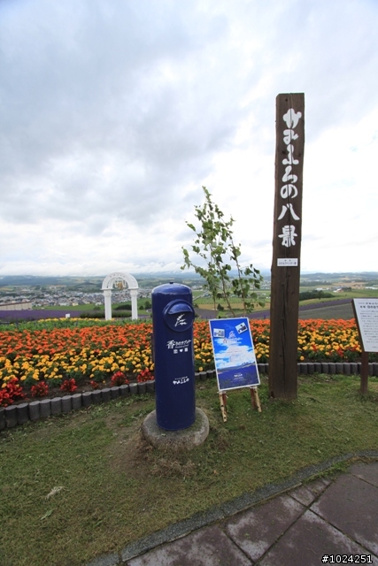 嬰兒拖車的無限可能—北海道の夏日薰風